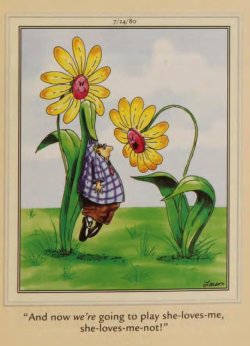 flower.jpg