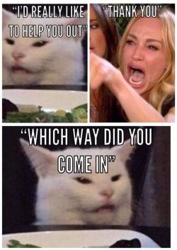karen help.jpg