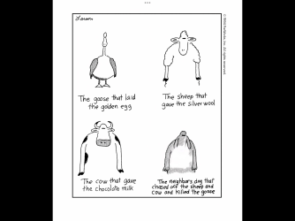 IMG_2670.png