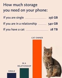 Phone storage chart.jpg