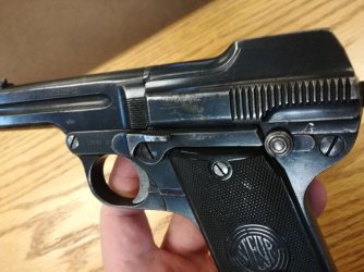 My Steyr L.jpg