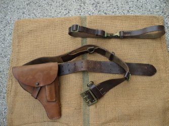 Steyr rig.jpg
