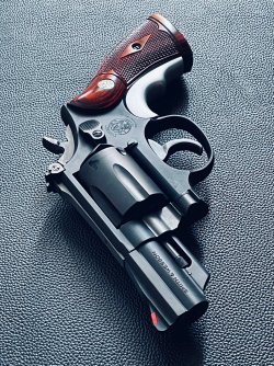 model 19.jpg model 19.jpg