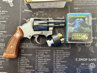 S&W 31-1.jpg