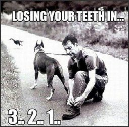 Losing your teeth.jpg