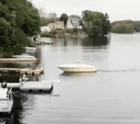 1000006073.gif