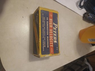 20250728_085046.jpg