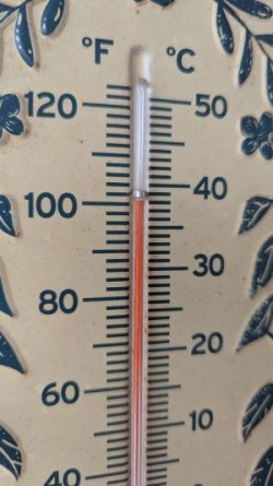 100 1.jpg