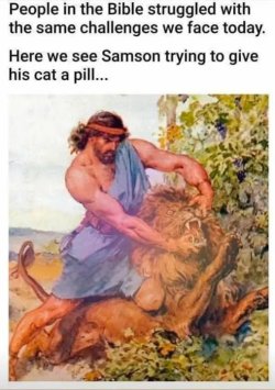 Image 1.jpeg