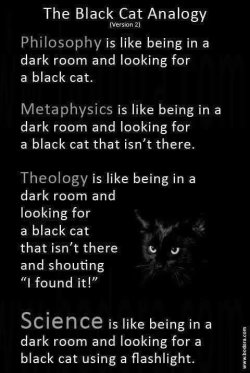Black cat analogy.jpg