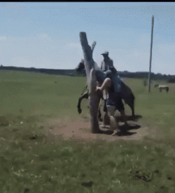 1000006270.gif