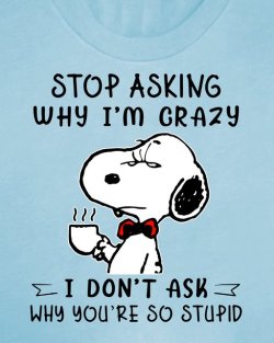 snoopy crazy.jpg