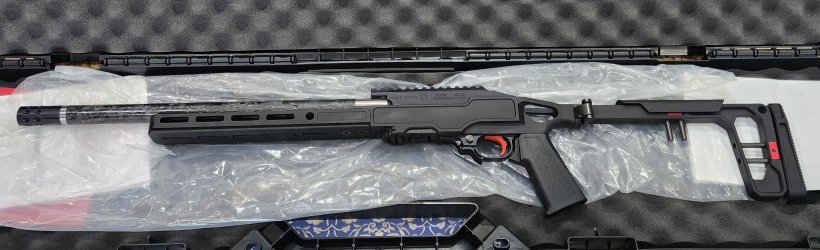 Ruger 1022.jpg