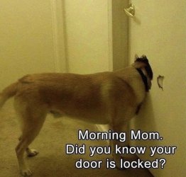 1754515232350.jpeg