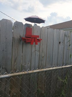 IMG_20250806_171809.jpg