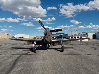 P-51 A #4.jpg