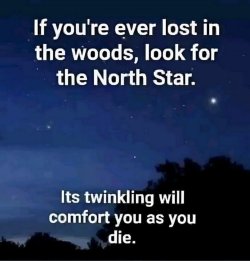 Screenshot_20250803_103704_Facebook.jpg