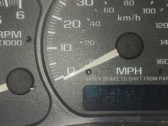 1000008727.jpg