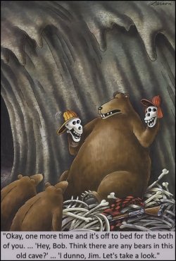 bears cave.jpg