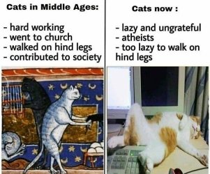 catsthenandnow.jpeg