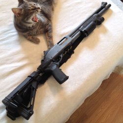 870 Mesa Tactical Stock.JPG