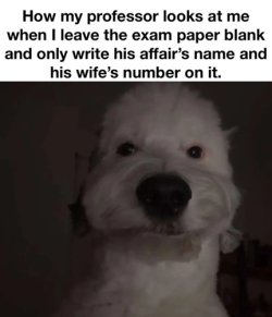 prof-exam.jpg