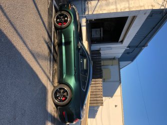 IMG_3998.jpeg