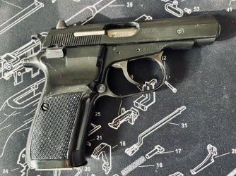 CZ82-1.jpg