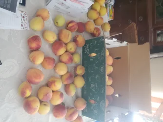 20250711_095337.webp