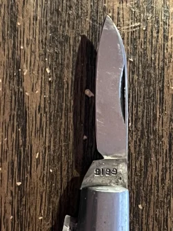 Catteraugus 2139 on short blade.webp