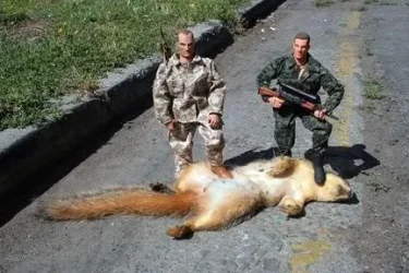 Squirrel GIJoe.webp