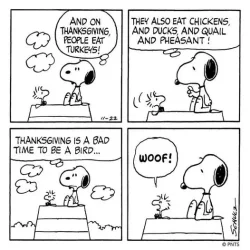 snoopy thanksgiving.webp