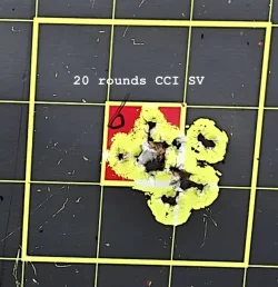 Target 09.webp