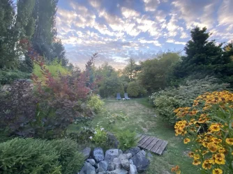 Sandra evening sky.webp