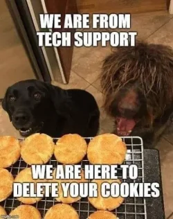 tech-support-cookies.webp