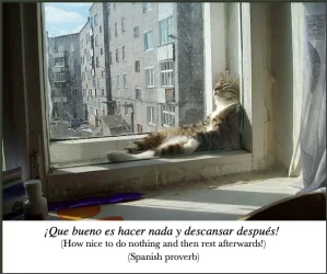 Doing nothing.webp