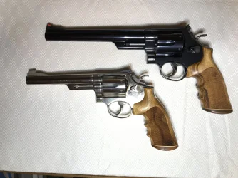 Model 19 and Model 29 50PC.webp
