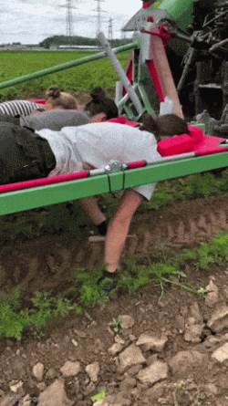1000006790.gif