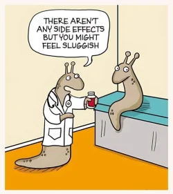 slug.webp
