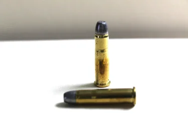 32-20 ammo.webp