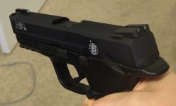 mp22 sight 3.jpg