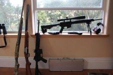 guns 011.jpg