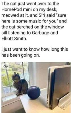 Screenshot_20251029_155631_Facebook.webp