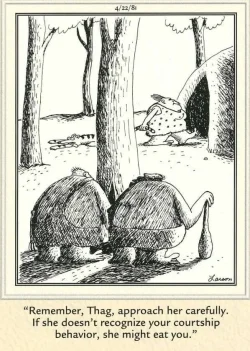 thag courtship.webp