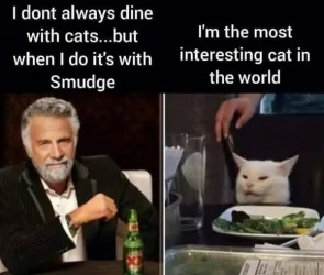 smudge interesting.webp