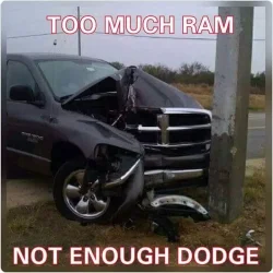 too much ram.webp