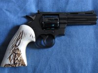 05 Eagle Stag on Colt Python.jpg
