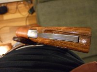 Belt 012.jpg
