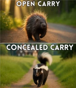 open carry.webp