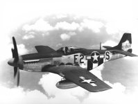 P-51.jpg